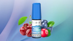 Flerbar Liquid 20mg Blueberry 16x9 Bild 1